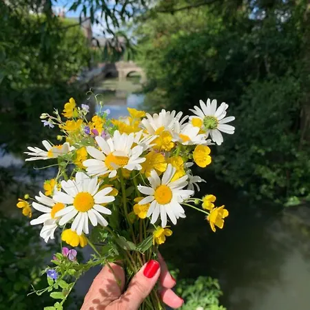 Maison Leontine Panzió Bernay