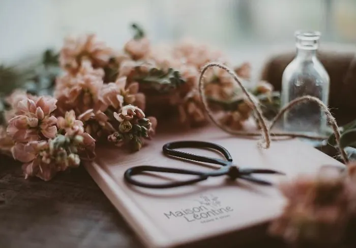 Maison Leontine Bed & Breakfast 3*