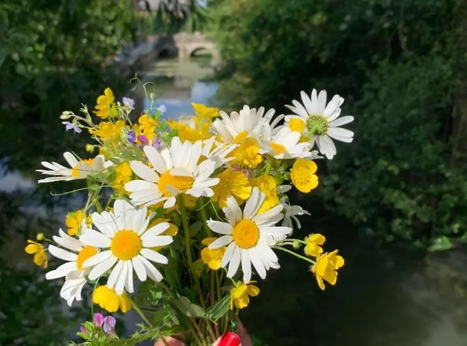 Maison Léontine Couette-café Bernay (Eure)